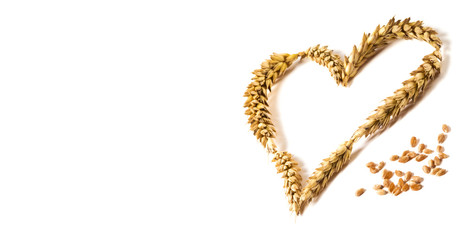 Ripe Love - Heart shape made of golden wheat stems isolated on white background as a design element for love and harwest themes. Studio shot