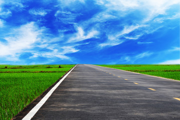 road in field
