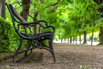 Banco de hierro en un parque arbolado