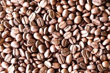 organic coffee bean backgound texture