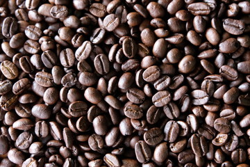 organic coffee bean backgound texture