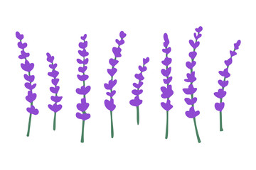 Vector set of cute branches of lavender. Hand drawn botanical elements for design