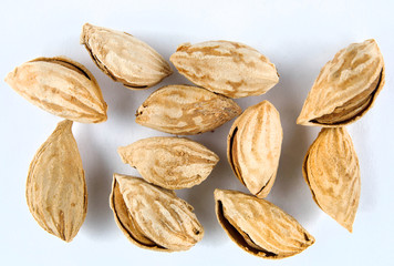 almonds in shells on a white background
