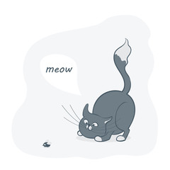 Vector illustration, a cartoon cute gray cat playing with a fly.