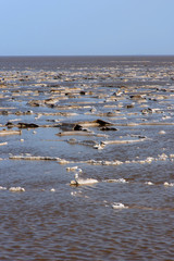 Danakil desert with salt lake, Ethiopia