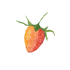 Hand drawn watercolor red strawberry. One element isolated on white background. Berry or fruit clip art for logo, greeting cards, scrapbooking. Organic, vegetarian healthy food.
