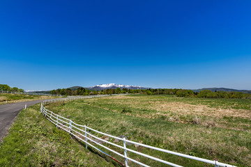 Fototapeta na wymiar 日本　残雪の栗駒山と高原の牧場