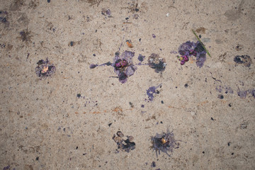 violet splash of the brown concrete floor