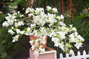 Beauty of nature is so good to see