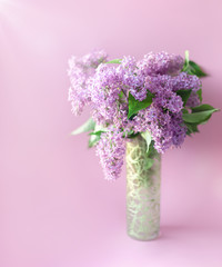 Bouquet of lilac in a vase on a pink background with a copy space.