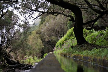 Small water canal through a beautiful area in Madeira