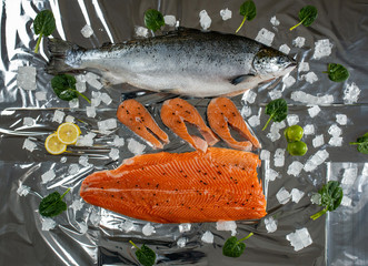 salmon steak and 
fillet with ice