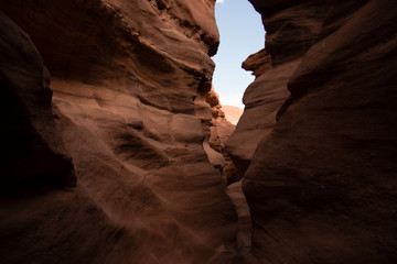 Red canyon, Israel - December, 2019. Desert landscape near Eilat with rocks in the afternoon.