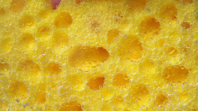 yellow dish washing sponge macro. bubbles, under water. porous macro sponge.