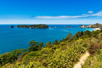 View of Gemstone Bay while walking to Cathedral Cove in New Zealand