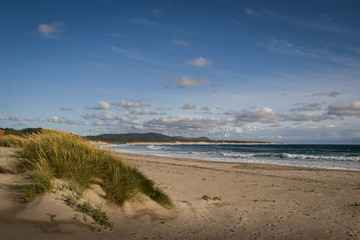 Empty beach landscape