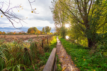 A beautiful day in the countryside