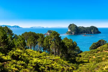 Keuken spatwand met foto View of Gemstone Bay while walking to Cathedral Cove in New Zealand © Alan Smithers