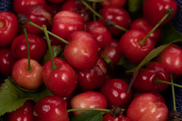 red cherries background