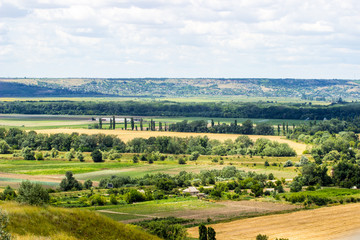 rural landscape with trees