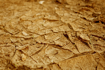 Cracked natural soil background.