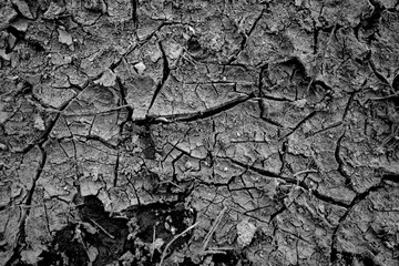 Cracked natural soil background in black and white