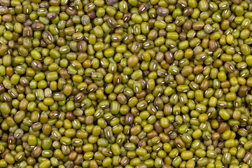 green mung beans (Vigna radiata) top view closeup