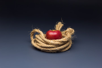 Apple, ideal fruit to eat raw and in dessert