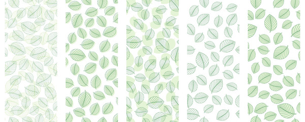 Set of five green leaves seamless on white background. Vector illustration.