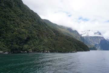 Sound in Fiordland National Park