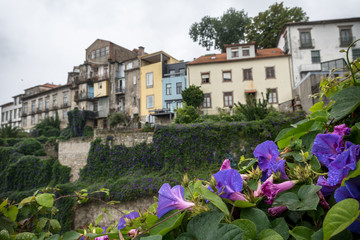 Fototapeta na wymiar stunning garden flowrs old buildings close to bridge dom luis I in porto