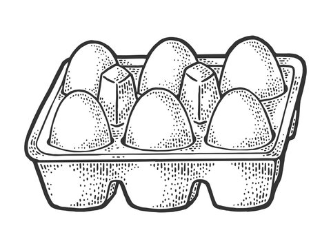 egg tray sketch engraving vector illustration. T-shirt apparel print design. Scratch board imitation. Black and white hand drawn image.