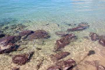 rinella bay in kalkara in malta