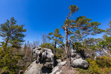 Fototapeta na wymiar Stolowe Mountains National Park. Rock formations in Szczeliniec Wielki hiking trail near Kudowa-Zdroj, Lower Silesia, Poland.
