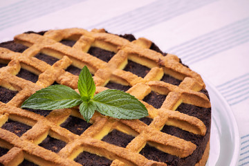 Close-up of fresh poppy seed cake. Homemade poppy cake lay on a table with tablecloth. Round, fresh pie.