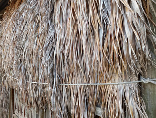 Dry palm tree wall in tropical construction. Dry old palm leaves, background texture.