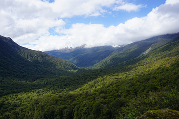 Mountains covered by trees