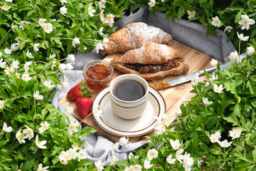 Summer picnic on a sunny day. Breakfast on green grass in the garden with white spring flowers blossom. Eating food outdoor. Cup of black coffee with croissants, strawberries and jam. Close up - obrazy, fototapety, plakaty
