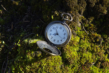 Vintage pocket watch on moss