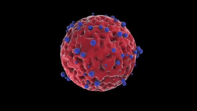 3D animation of a blue virus, a sphere with a pulsating shell, and a lot of antibodies attacking the coronavirus. The idea of a vaccine against covid-19. 4K 3D animation