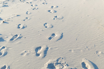 Background shot of footprints in pristine, wind blown white beach sand