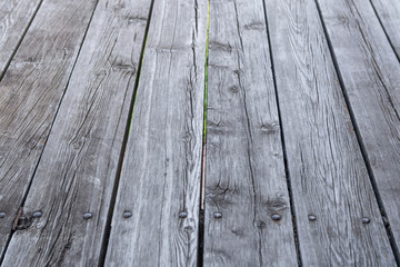 Gray old wood texture as background