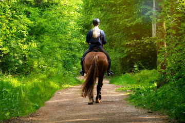 Horseback riding on a forest road