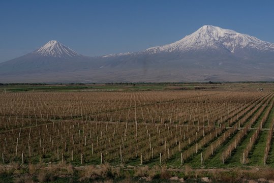 Ararat mountains