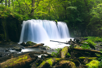 Choshio Waterfall at Oirase strem on summer. Aomori, Japan.