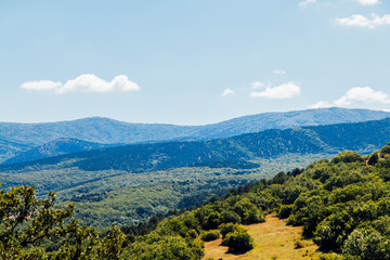 mountain landscape of mountains with forest and blue sky