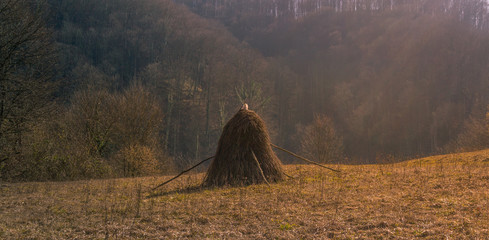 Old fashioned hay stack © mrshadow