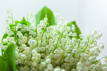 Amazing blooming Lilies of the valley and green leaves. Blurred bokeh lights flowers background with selective focus. Love greeting card copy space banner. Mother's Women's Valentine's day wallpaper.