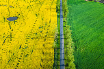 Yellow and green rape fields in Poland, view from above
