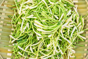 Bamboo sieve filled with fresh wild honeysuckle on white background